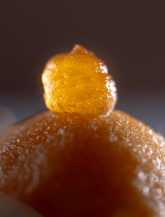 Food photography for Ostapé in Bidarray, France.
