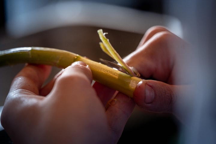 Food photography for La Table de l’Olea in La Teste-de-Buch, France.