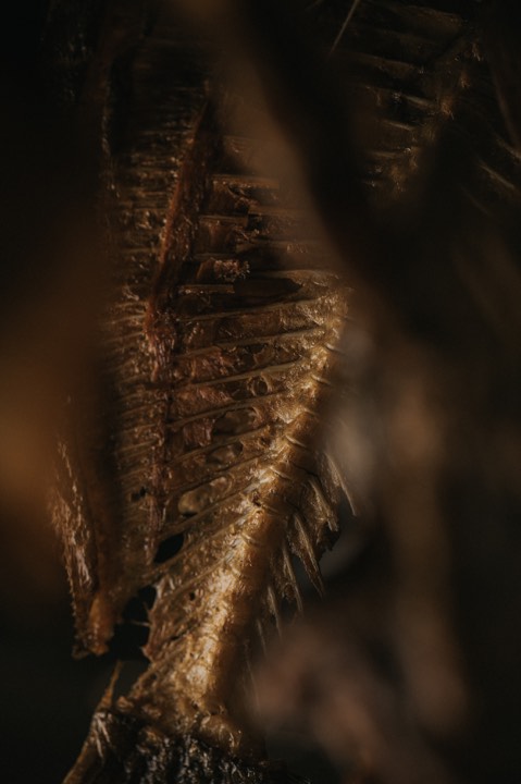 Food photography for Ostapé in Bidarray, France.
